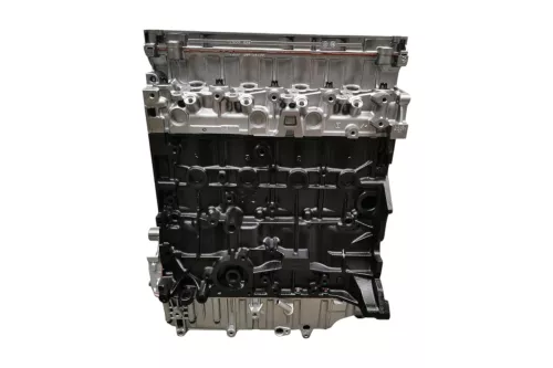 PSA / Stellantis Dieselmotor 4HY (0135JH)