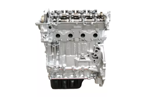 PSA / Stellantis Benzinemotor 8FS  (0135KK)