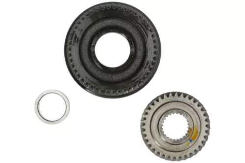 SET TANDWIELEN
