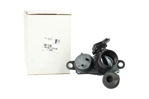 PSA / Stellantis Gasklephuis (9806731880)