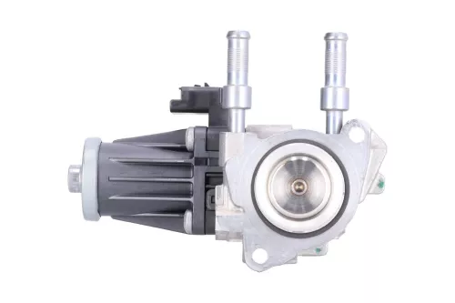 PSA / Stellantis EGR-Klep  (9829870080)