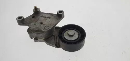  C813EA - SPANNER +ROL VOOR MULTIE RIEM DYNAMO/ HDI 1.6 8V 9HN (C813EA)