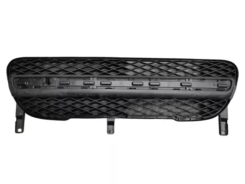 aftermarket Bumpergrille (C158CT)