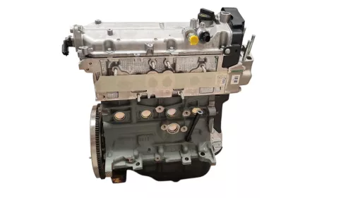 PSA / Stellantis Benzinemotor 169A4000	 (C55AA)
