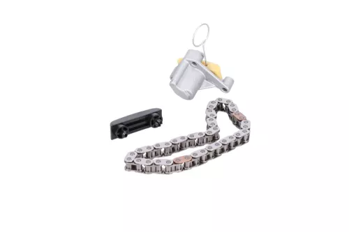 PSA / Stellantis HDI 2.0 16V RHT DW10ATED4/ DISTRIBUTIE KETTING (0000058438)