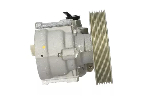 PSA / Stellantis D 1.9 WJZ DW8/ POELIE 114MM/ PIJPJE 0 GRADEN/ A.POELIE (0000273603)