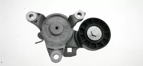 PSA / Stellantis RIEMSPANNER/ B 2.0 16V RFJ EW10A/ TF070 F3036-1/ ZIE (0000185836)