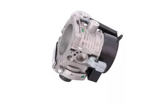 PSA / Stellantis HPI 2.0 16V RLZ EW10D/ SOLEX 1943/ MAGNETI MARELLI CTS (0000309297)